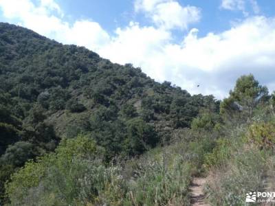 Sierra de Espadán-Fallas Vall de Uxó;pueblos serrania de ronda canto cochino la pedriza toledo rutas